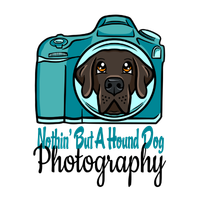 Albuquerque Pet Photographer